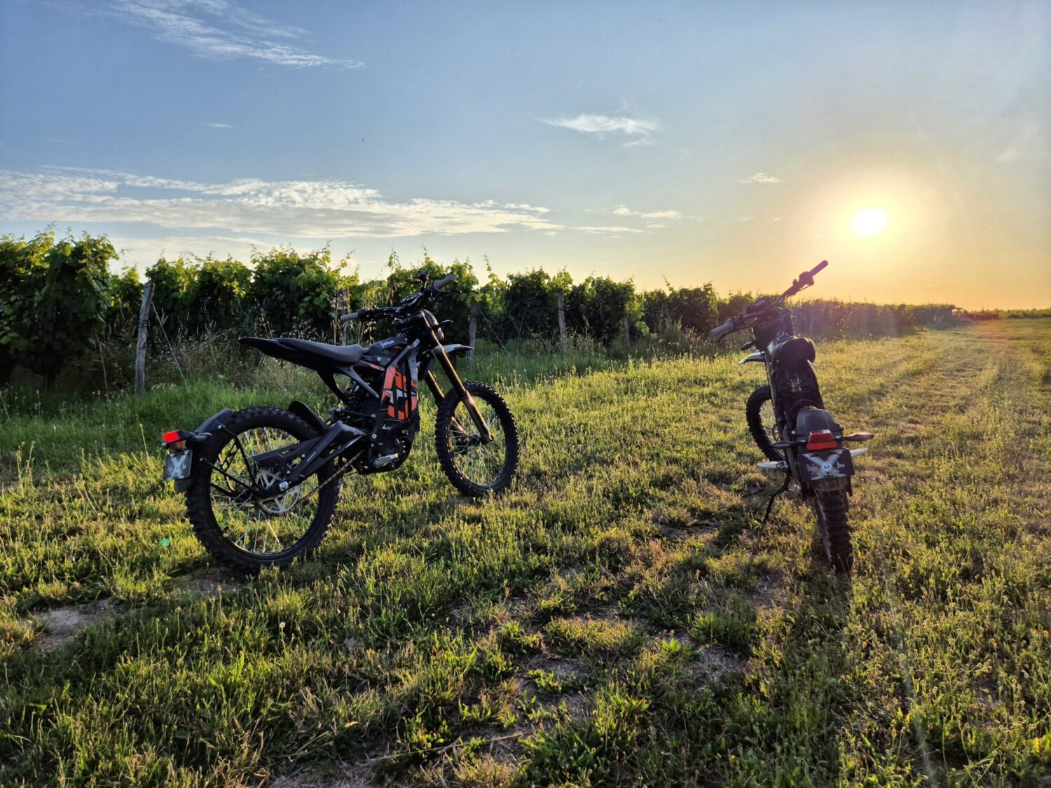 PIT RIDE