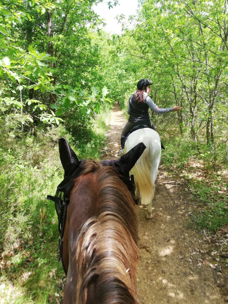 CAP CHEVAL
