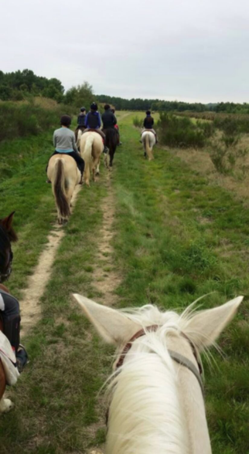 CENTRE EQUESTRE RURAL DU FRONTONNAIS
