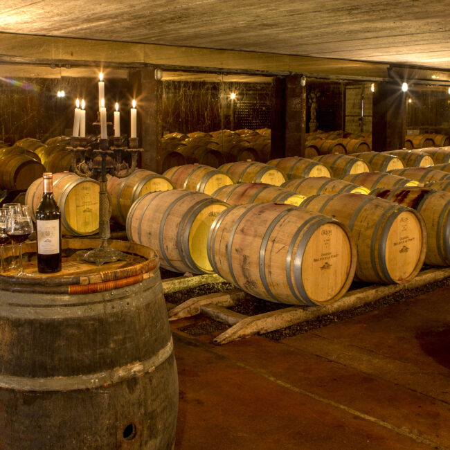 CHATEAU BELLEVUE LA FORET