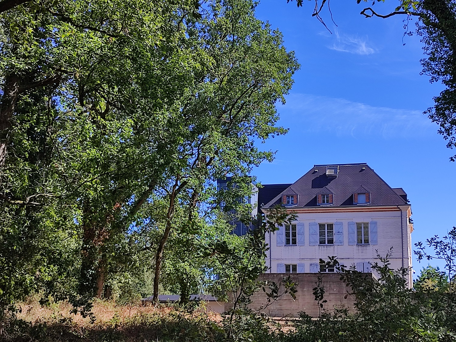 PARC DU CHATEAU DE CAPDEVILLE