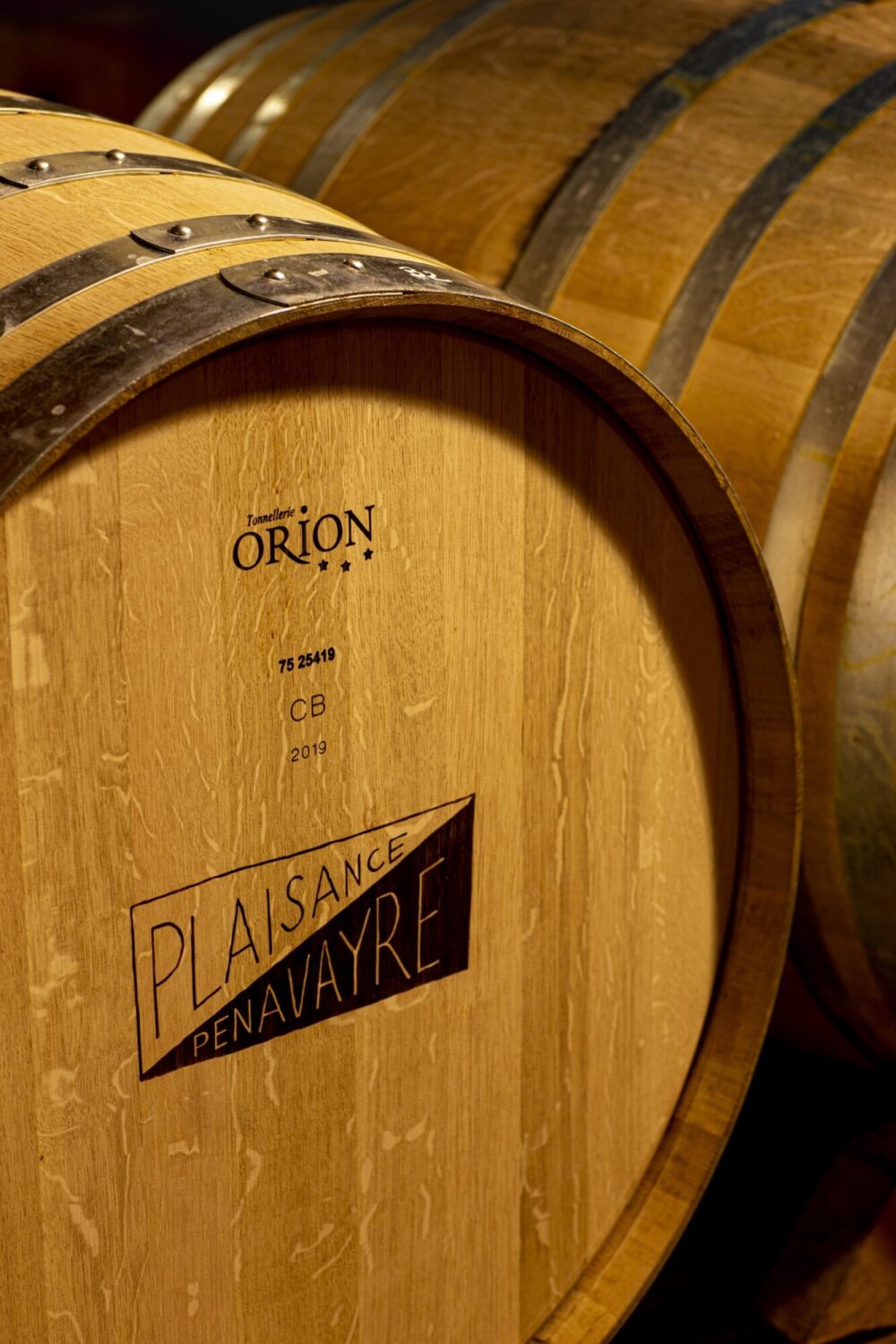DOMAINE PLAISANCE PENAVAYRE
