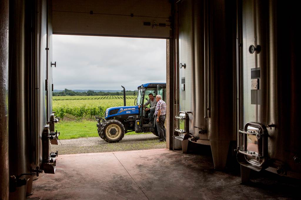 DOMAINE DE LESCURE