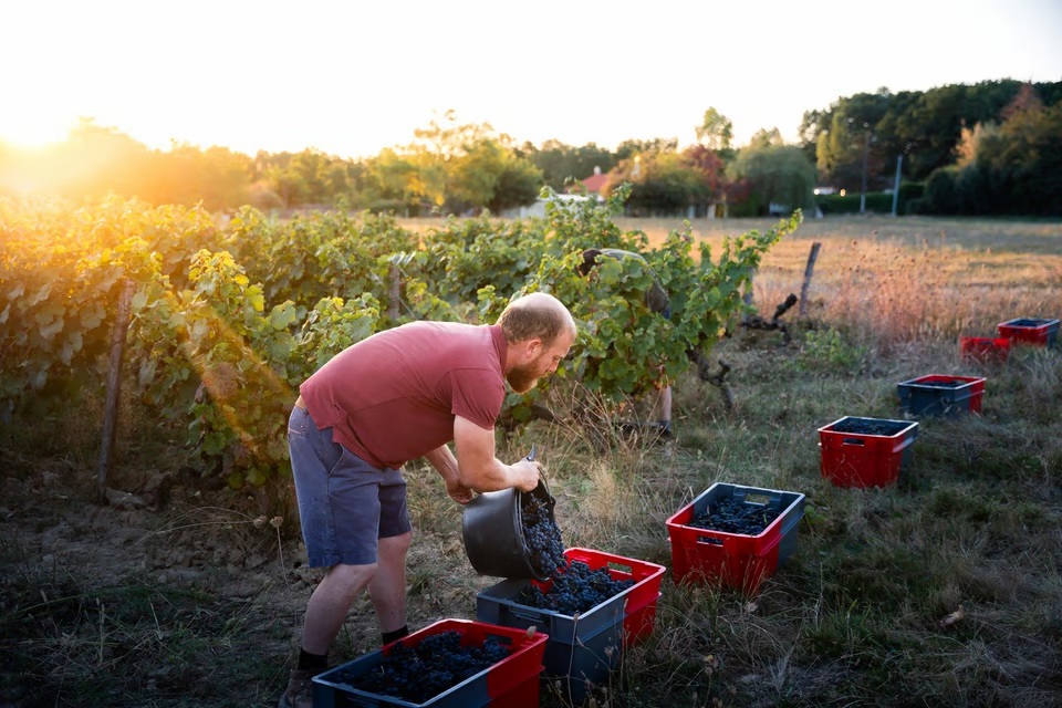 JEAN-MARC VILBOUX, VIGNERON