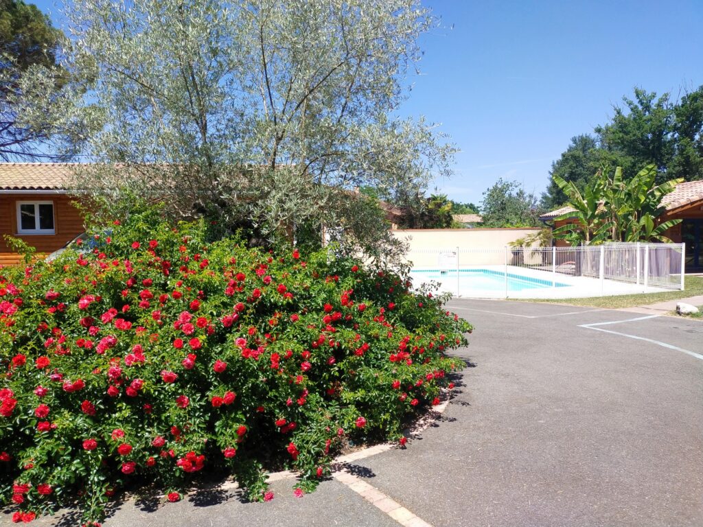 LES GITES DES PALOMBES – CHALET JAUNE