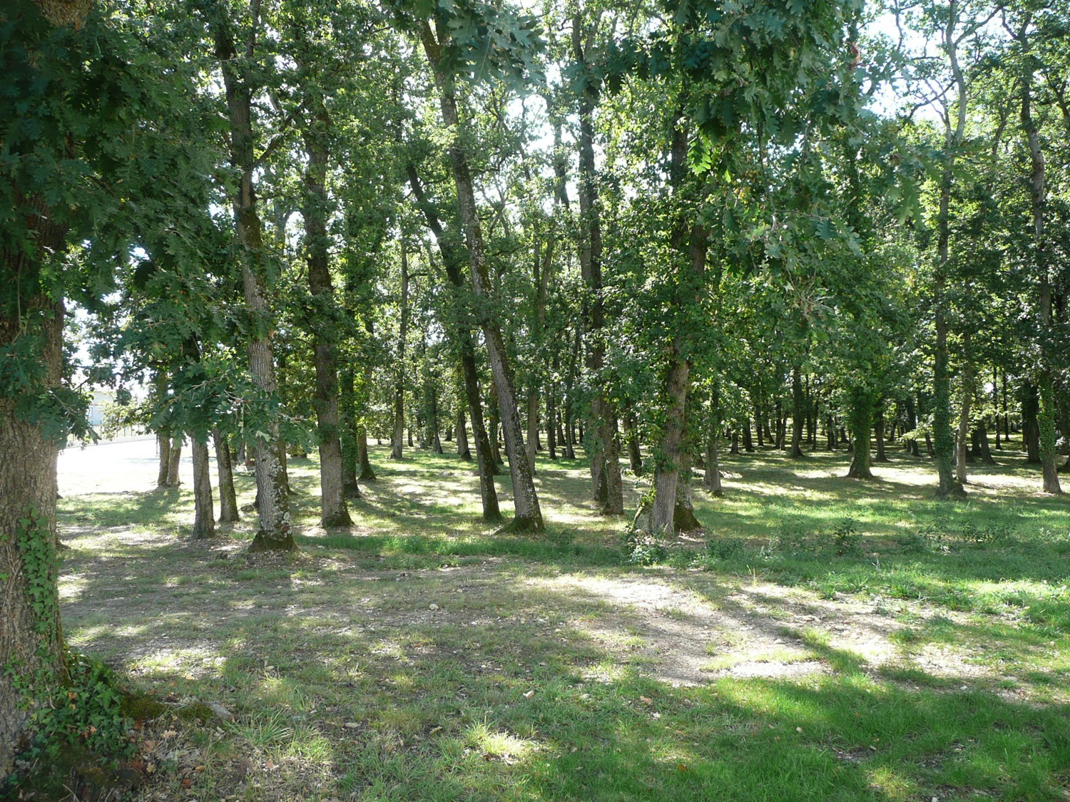 PARC DU CHATEAU DE CAPDEVILLE
