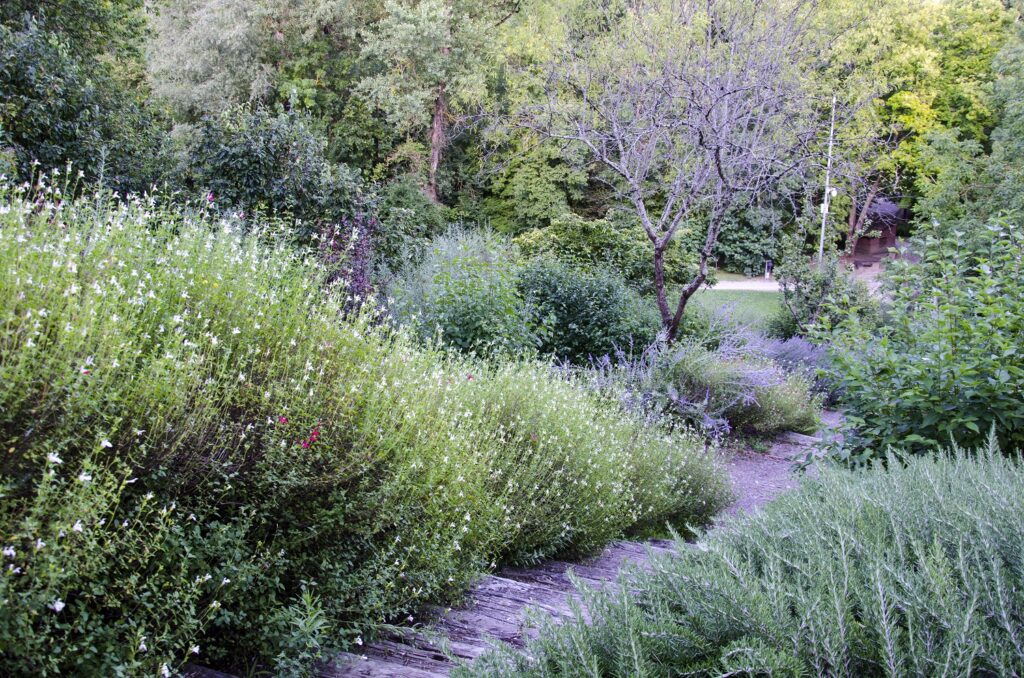 DU PECHABE AU RIOU D&rsquo;EMBOUET