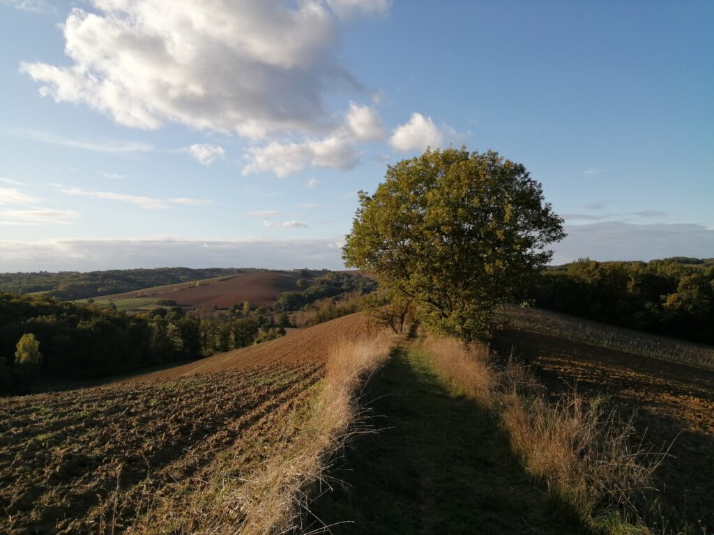 LA CROIX DE PEYRE