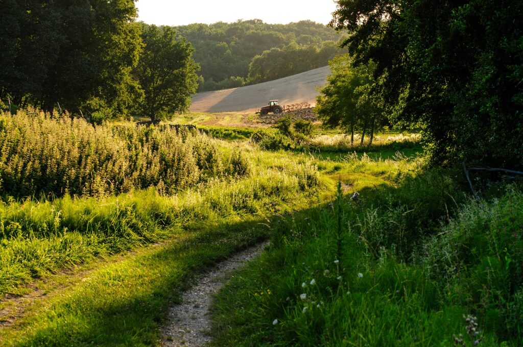 LE SENTIER AUX PAPILLONS